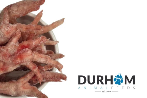 Frozen Bones & Treats