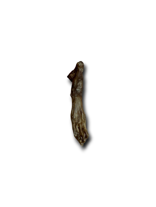 Anco Naturals Rabbit Feet each
