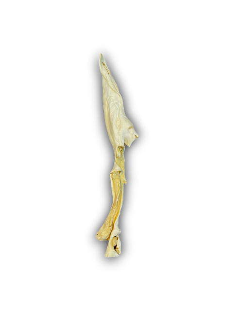 Anco Naturals Lamb Ear Stick Medium