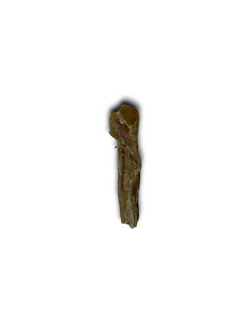 Anco Naturals Mini Bully Muscle Stick