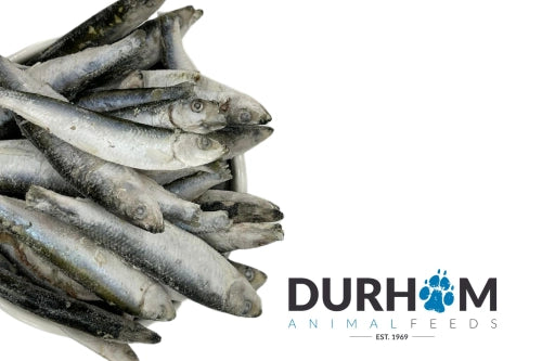 DAF Sprats Frozen 1kg